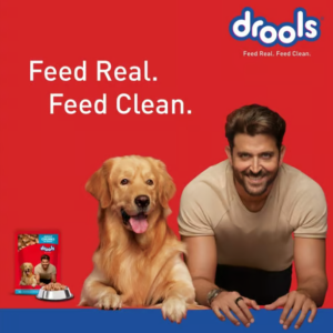 Drools Real Chicken and Chicken Liver Chunks in Gravy Wet Dog Food (Adult)